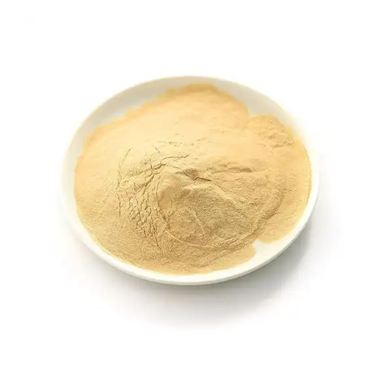 4-硝基苯甲酰胺，619-80-7